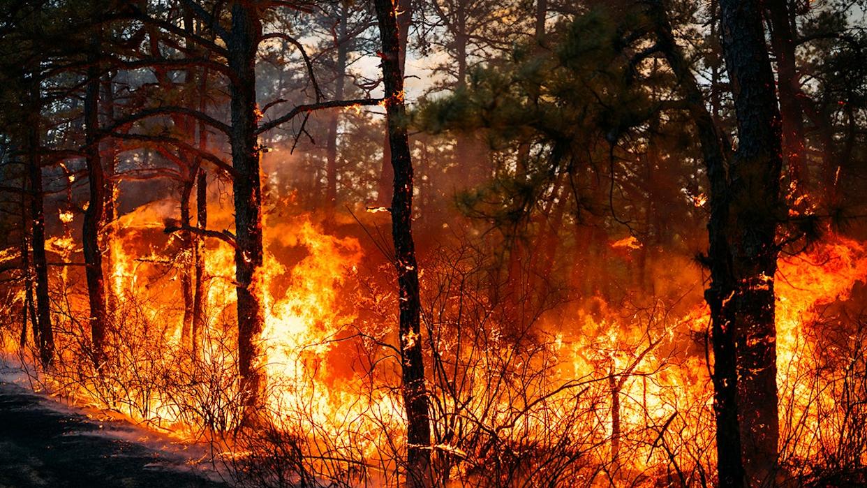 South Carolina Under State Of Emergency As Several Fires Trigger Evacuations In Carolinas, New Jersey